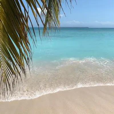 Unforgettable Moments